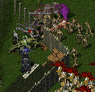 BNN Enthralled - Picture 1.gif