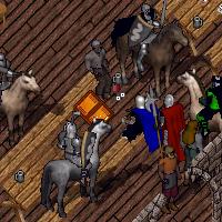 BNN Mayhem in the Hedge Maze - Picture 1.jpg