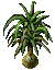 Ponytail Palm.png