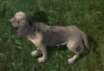 Dogkr.png