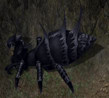 Blk solen infiltrator queenkr.png