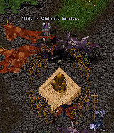 BNN A Battle Won, A City Threatened - Picture 1.gif