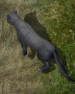 Pantherkr.png