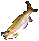 Fish 1.png