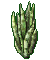 Snake Plant.png
