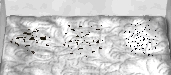Debris01.jpg