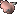 Raw bird.png