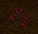 Minaxsandals.png