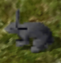 Rabbitkr.png