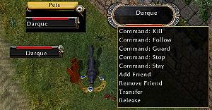 Petcommands.jpg