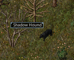 ShadowHound.png