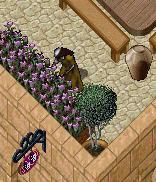 BNN A Chance Encounter - Picture 2.jpg