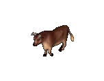 Bull.png