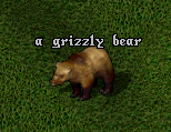 Grizzly Bear.png