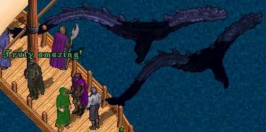 BNN Seer Sea Sight-Seeing Journey Spots Rare Britannian Wildlife - Picture 4.jpg