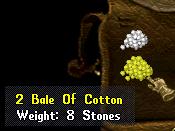 Cotton.jpg