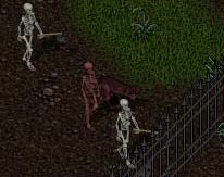 BNN No Rest for the Dead - Picture 1.jpg