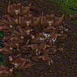BNN Mongbat Attacks Reach Plague Proportions - Picture 3.jpg