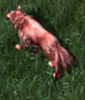 Bake kitsunekr.png