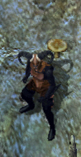 Myxkionkr.jpg