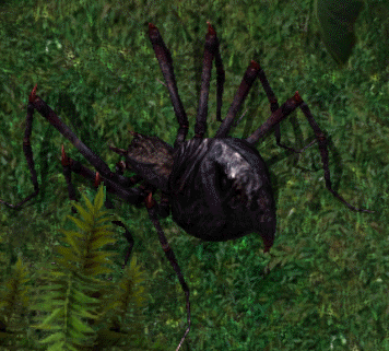 Giant black widowkr.png