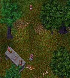 BNN Gold and Black, the Enchanted Trees - Picture 1.jpg