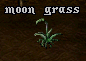 Moon grass.png