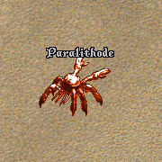 Paralithode.png