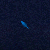 Salivas feather.gif