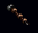 Hammer of Water.png