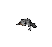 Bullfrog.png