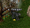 Cougar.png