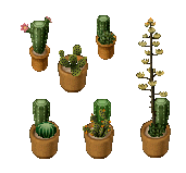 Veteran reward cacti.gif