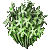 Bulrushes.png