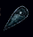 Shield of Air.png