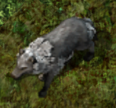 Dire wolfkr.png