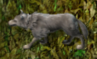 Timber wolfkr.png