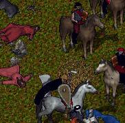 BNN Mad Mage Attack Near Yew Crypts and Village of TUR! - Picture 2.jpg