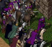BNN Ventryn's Power - Picture 1.jpg