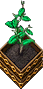 Coffee-stage2.png
