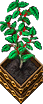Coffee-stage4.png