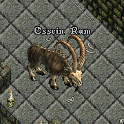 Ossein ram.png