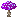 Zoogi fungus.png
