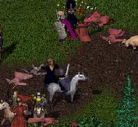 BNN Evil Mages Attempt to Enter Moonglow City Trammel! - Picture 1.jpg