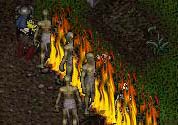 BNN No Rest for the Dead - Picture 2.jpg