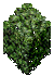 Hedge.png