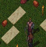 BNN Brigands Attempt to Gain Foothold in Moonglow - Picture 1.jpg
