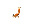 Squirrel.png