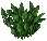 Water Plant.png