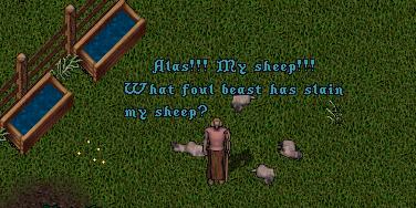 BNN Sheep Slaughtered by Unknown Creature! - Picture 1.jpg
